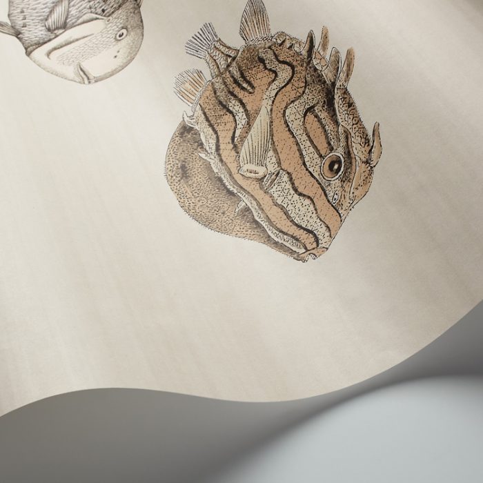 Cole &amp; Son Fornasetti Selection Acquario behang 114/16033