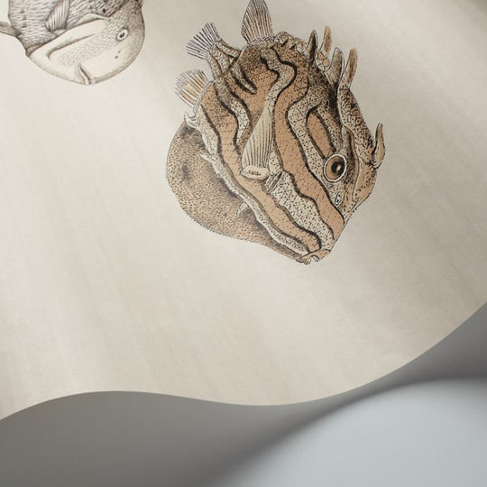 Cole &amp; Son Fornasetti Selection Acquario behang 114/16033