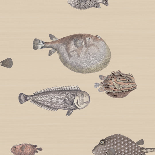 Cole &amp; Son Fornasetti Selection Acquario behang 114/16033