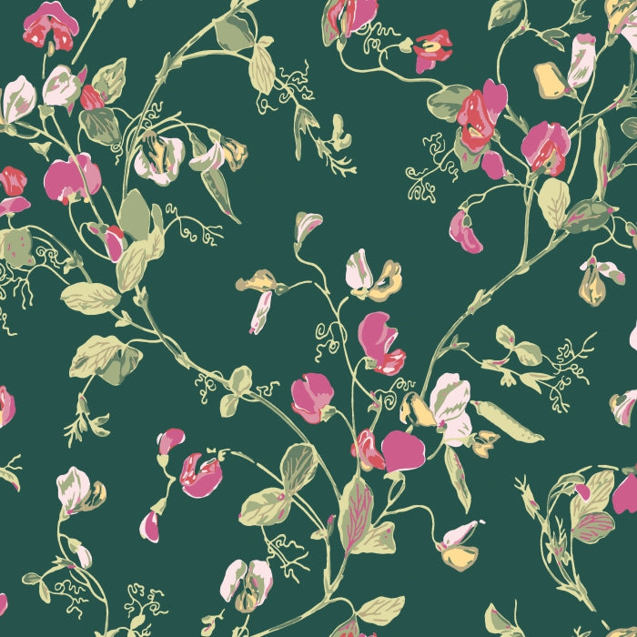 Cole &amp; Son Botanical ~Botanica~ Sweet Pea behang 115/11033