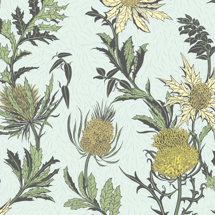 Cole &amp; Son Botanical ~Botanica~ Thistle behang 115/14042