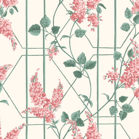 Cole &amp; Son Botanical ~Botanica~ Wisteria behang 115/5012