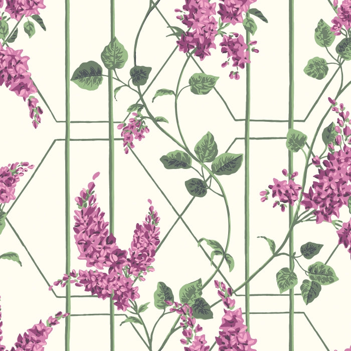 Cole &amp; Son Botanical ~Botanica~ Wisteria behang 115/5013