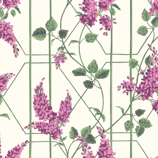Cole &amp; Son Botanical ~Botanica~ Wisteria behang 115/5013