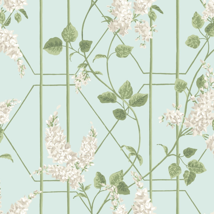 Cole &amp; Son Botanical ~Botanica~ Wisteria behang 115/5014