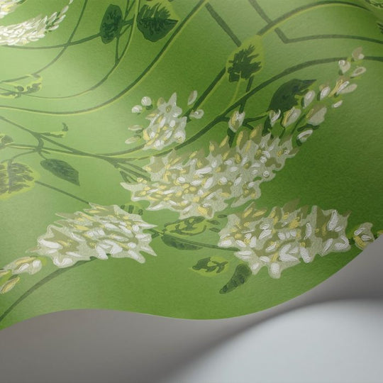 Cole &amp; Son Botanical ~Botanica~ Wisteria behang 115/5016