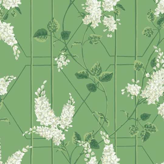 Cole &amp; Son Botanical ~Botanica~ Wisteria behang 115/5016