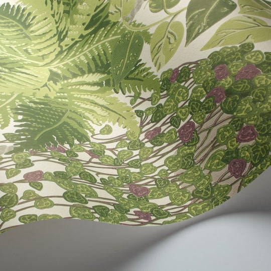 Cole &amp; Son Botanical ~Botanica~ Fern behang 115/7021
