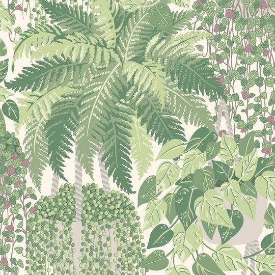 Cole &amp; Son Botanical ~Botanica~ Fern behang 115/7021