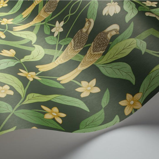 Cole &amp; Son Seville Jasmine &amp; Serin Symphony behang 117/10029
