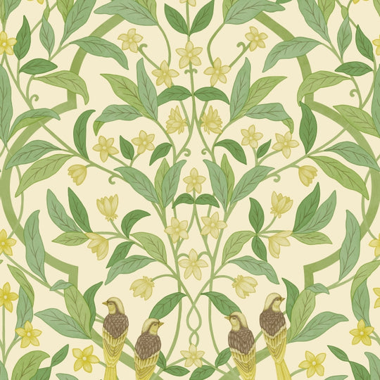 Cole &amp; Son Seville Jasmine &amp; Serin Symphony behang 117/10031
