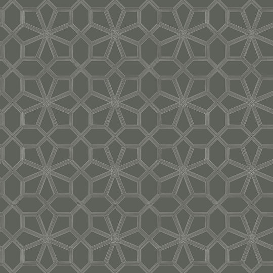 Cole &amp; Son Historic Royal Palaces – Great Masters Wolsey Stars behang 118/16037