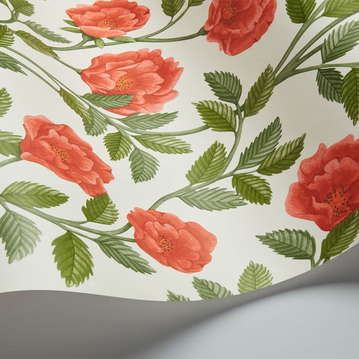Cole & Son Historic Royal Palaces – Great Masters Hampton Roses behang 118/7013