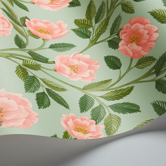 Cole &amp; Son Historic Royal Palaces – Great Masters Hampton Roses behang 118/7014