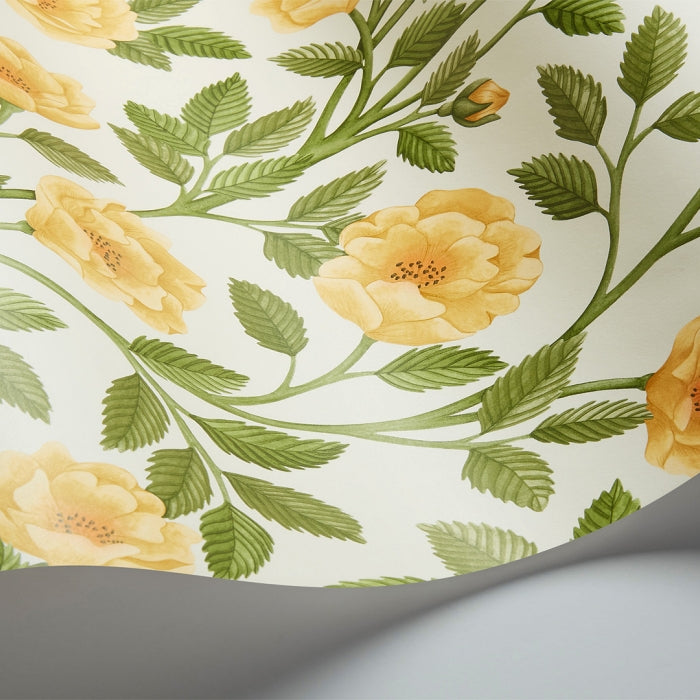 Cole & Son Historic Royal Palaces – Great Masters Hampton Roses behang 118/7015
