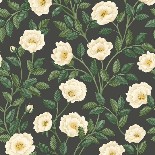 Cole &amp; Son Historic Royal Palaces – Great Masters Hampton Roses behang 118/7016
