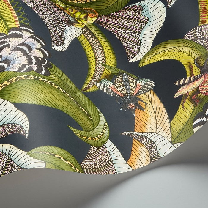 Cole & Son Ardmore - Jabula Hoopoe Leaves behang 119/1002