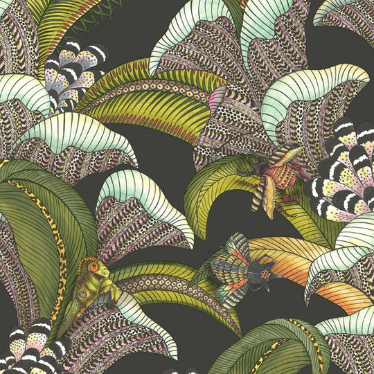 Cole &amp; Son Ardmore - Jabula Hoopoe Leaves behang 119/1002