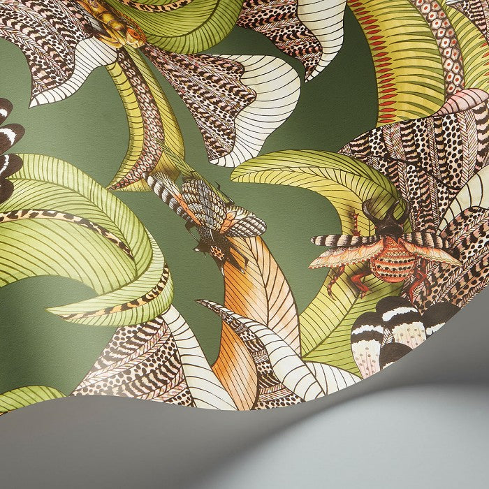 Cole & Son Ardmore - Jabula Hoopoe Leaves behang 119/1003