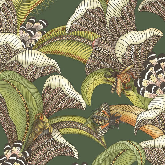 Cole &amp; Son Ardmore - Jabula Hoopoe Leaves behang 119/1003