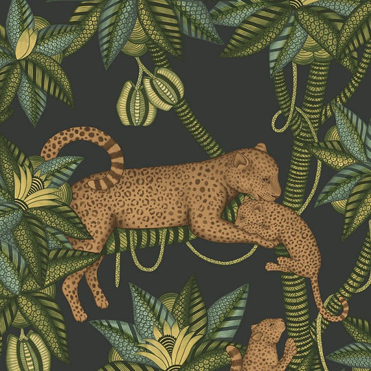 Cole &amp; Son Ardmore - Jabula Satara behang 119/3016