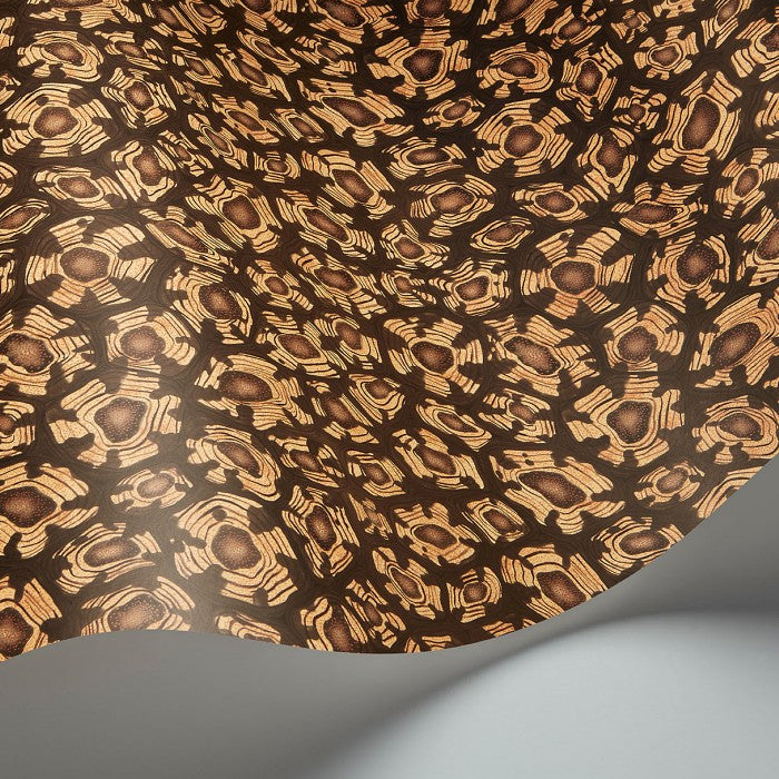 Cole & Son  Savanna Shell  behang 119/4019