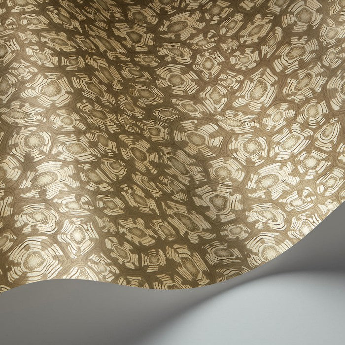 Cole & Son  Savanna Shell  behang 119/4020