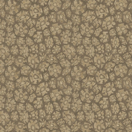Cole &amp; Son  Savanna Shell  behang 119/4020