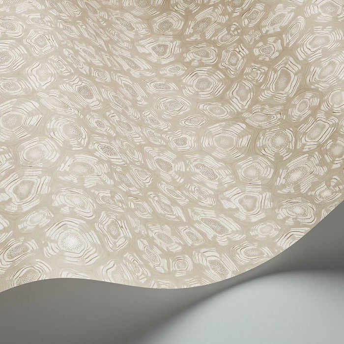 Cole & Son  Savanna Shell  behang 119/4021