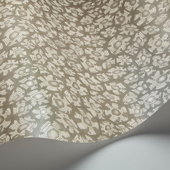 Cole & Son  Savanna Shell  behang 119/4022