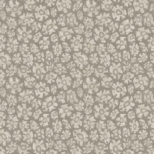 Cole &amp; Son  Savanna Shell  behang 119/4022