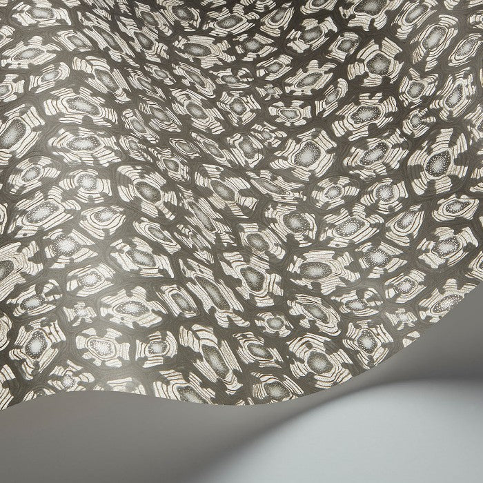 Cole & Son  Savanna Shell  behang 119/4023
