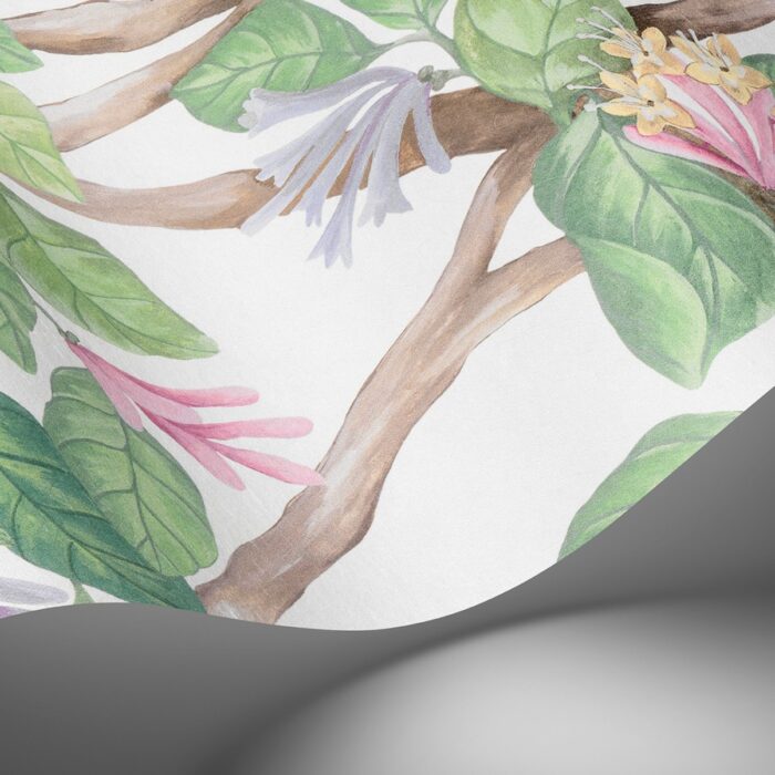 Cole & Son Selection of Hummingbirds Hummingbirds Flora behang 124/2008