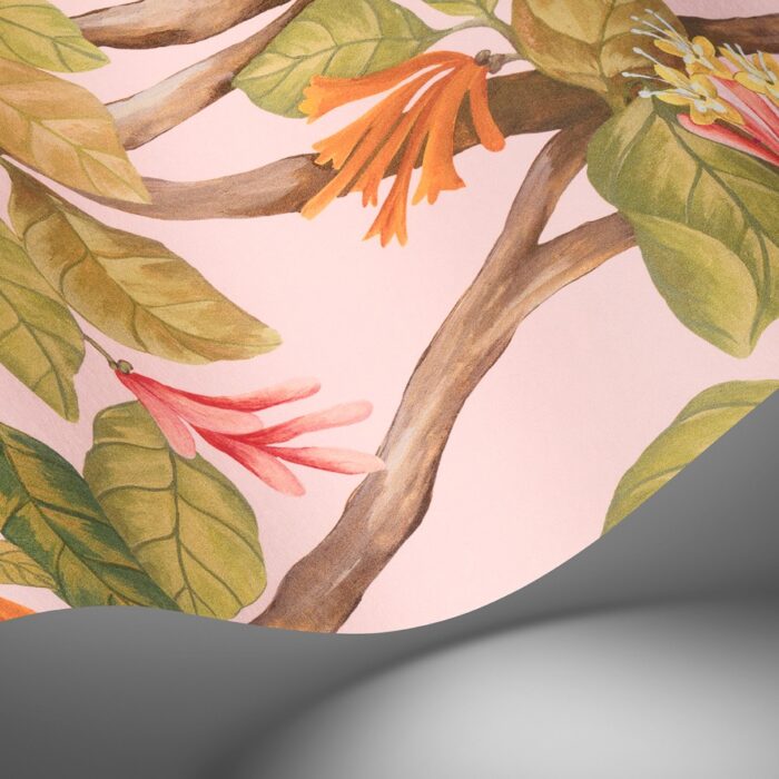 Cole & Son Selection of Hummingbirds Hummingbirds Flora behang 124/2009