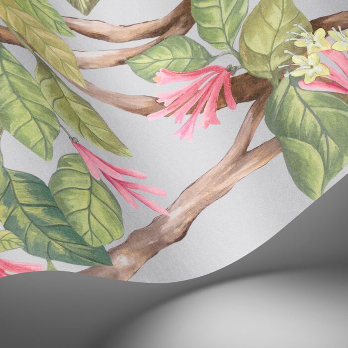 Cole & Son Selection of Hummingbirds Hummingbirds Flora behang 124/2010