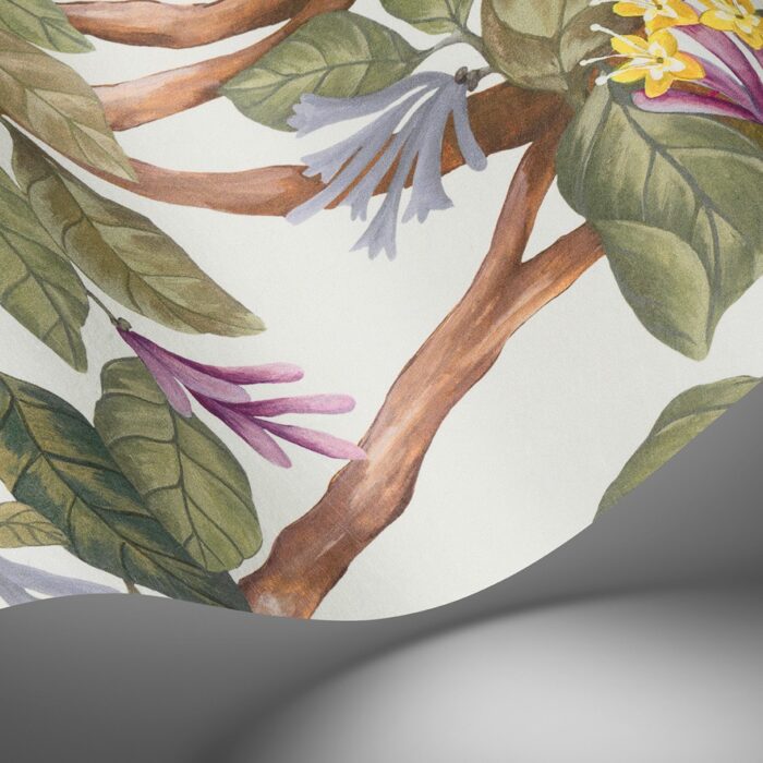 Cole & Son Selection of Hummingbirds Hummingbirds Flora behang 124/2013