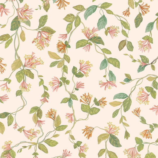 Cole &amp; Son Selection of Hummingbirds Flora behang 124/3016