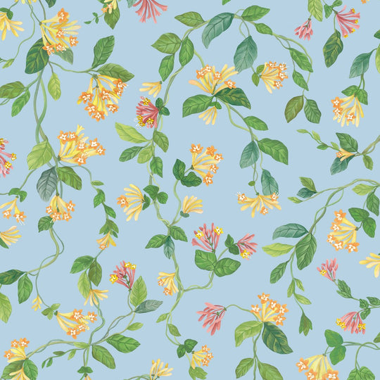 Cole &amp; Son Selection of Hummingbirds Flora behang 124/3018