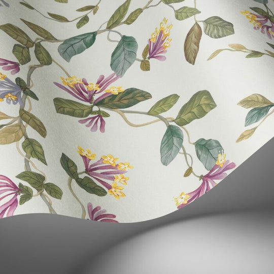 Cole &amp; Son Selection of Hummingbirds Flora behang 124/3020