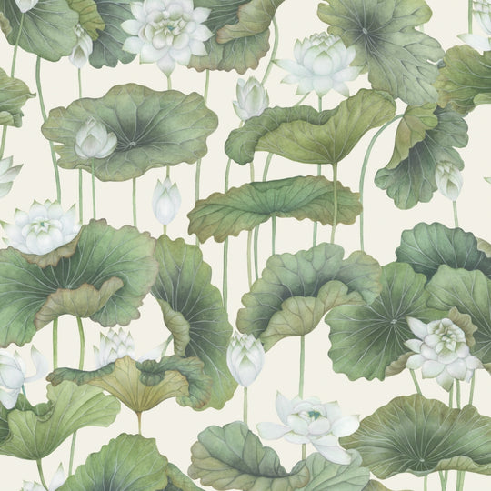 Cole &amp; Son Shinrin Yoku Lily Lotus behang 126/9034