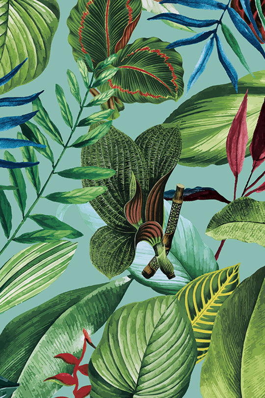 HookedOnWalls Caribbean Kiribati behang 27223Afbeelding 4