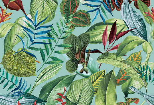 HookedOnWalls Caribbean Kiribati behang 27223Afbeelding 1
