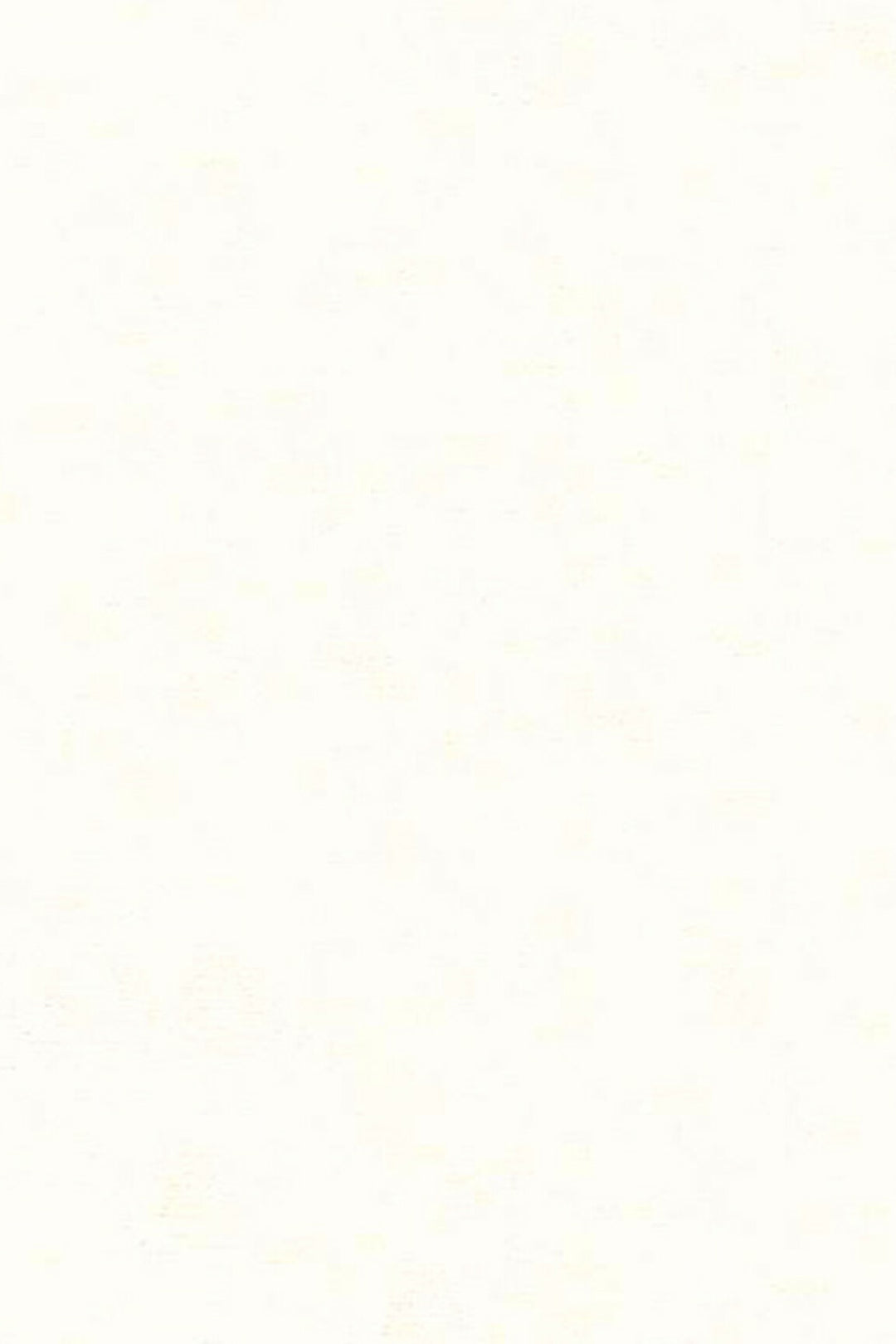 HookedOnWalls Caribbean Plain behang 27251Afbeelding 3