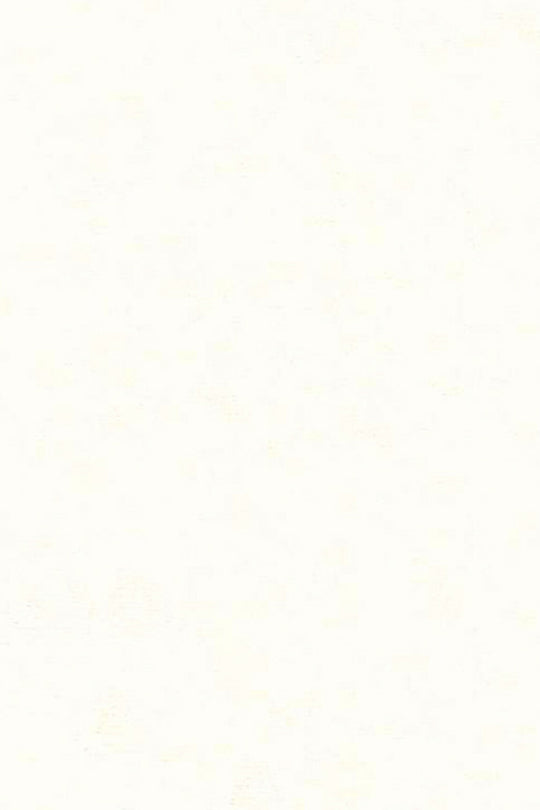 HookedOnWalls Caribbean Plain behang 27251Afbeelding 3