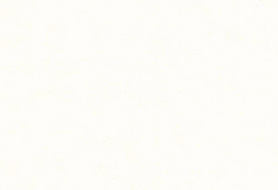 HookedOnWalls Caribbean Plain behang 27251Afbeelding 1