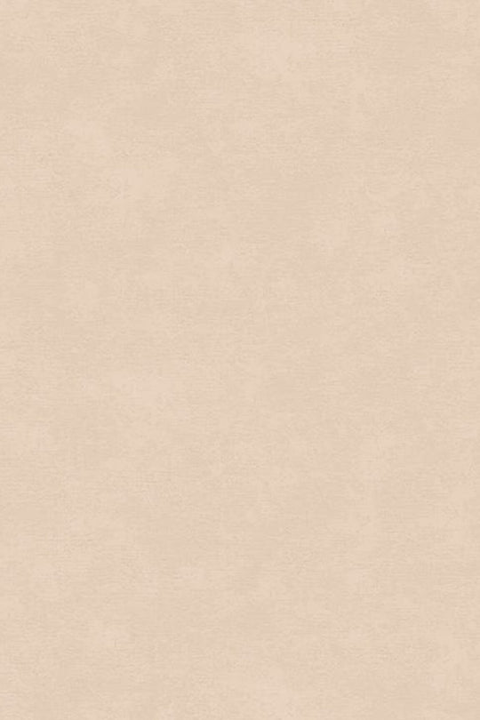 HookedOnWalls Caribbean Plain behang 27252Afbeelding 3