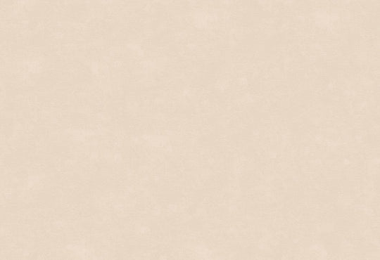 HookedOnWalls Caribbean Plain behang 27252Afbeelding 1