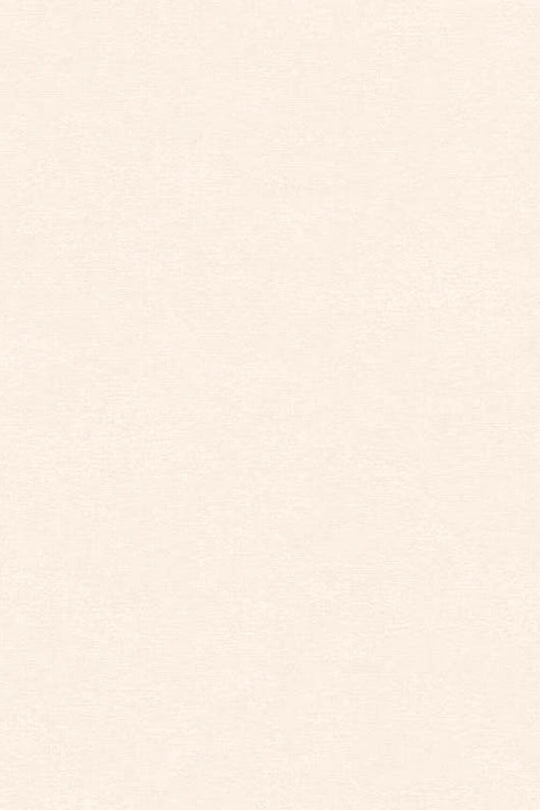 HookedOnWalls Caribbean Plain behang 27256Afbeelding 3