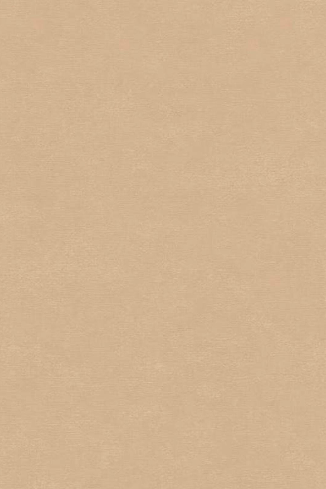 HookedOnWalls Caribbean Plain behang 27258Afbeelding 3