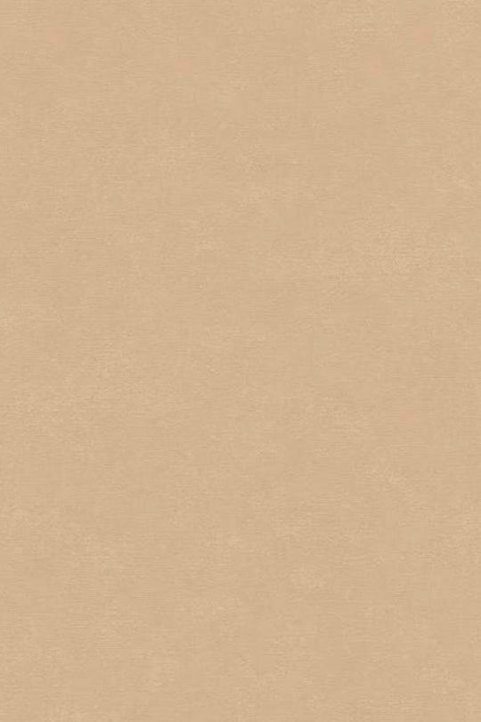 HookedOnWalls Caribbean Plain behang 27258Afbeelding 3
